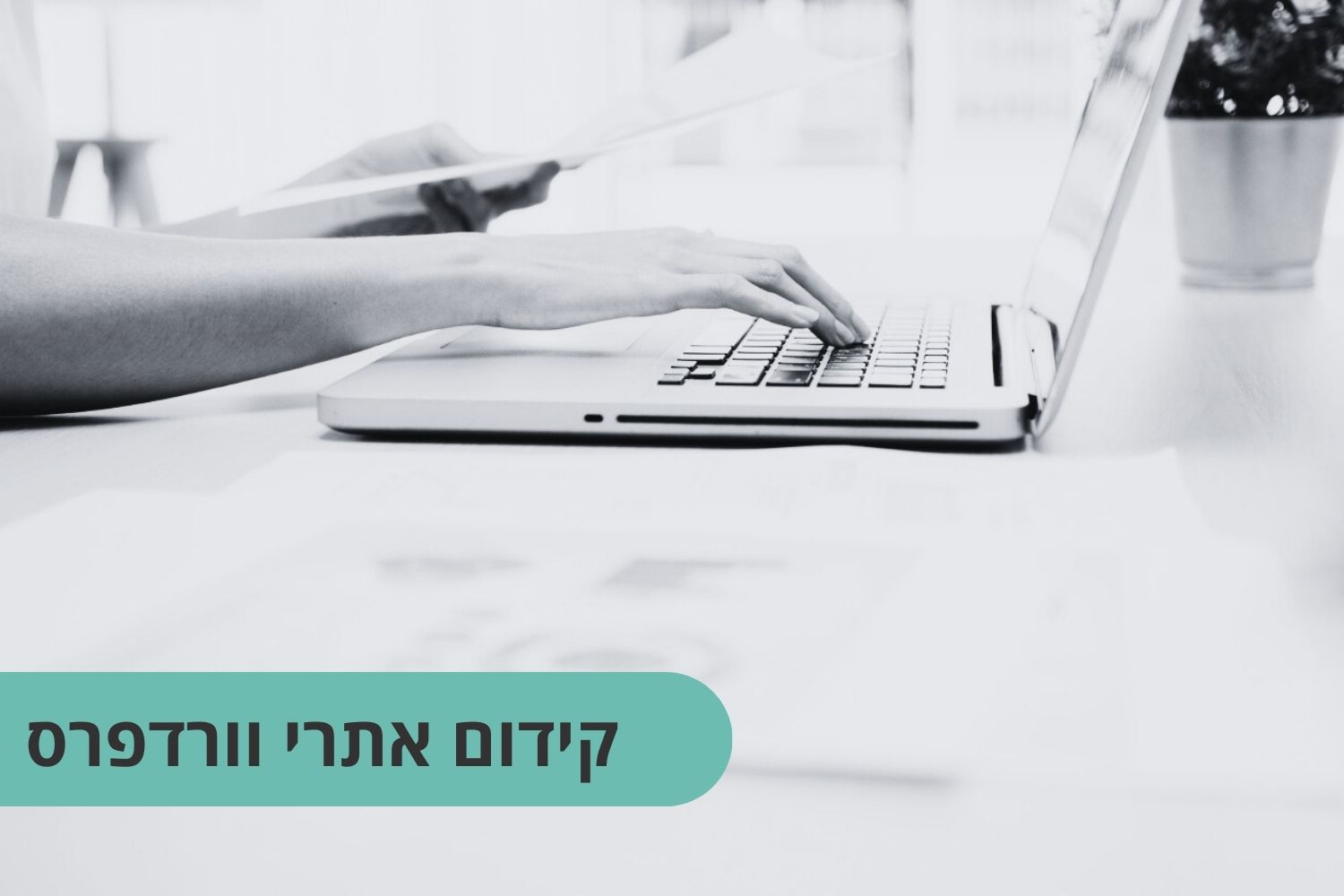 קידום אתרי וורדפרס